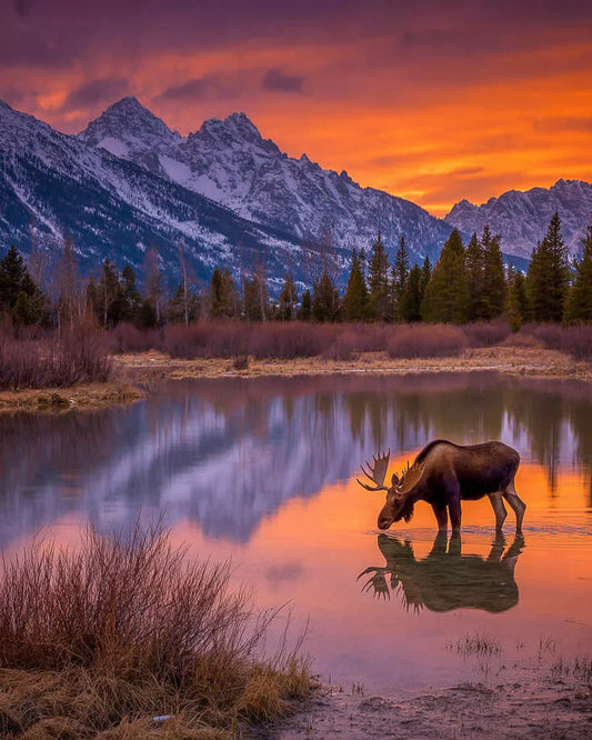 15 Best Dispersed Campsites in the American West for Overlanders (2026)