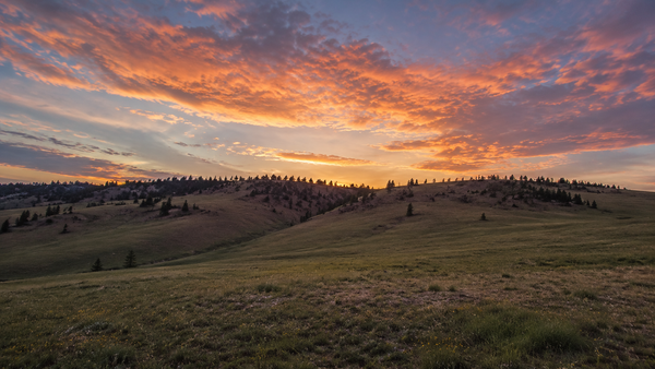 7 Overlanding Routes in the American West Worth Running in 2026