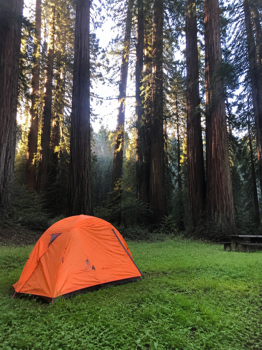 How to Find Free Camping Sites in America: A Beginner Guide by CIWILD